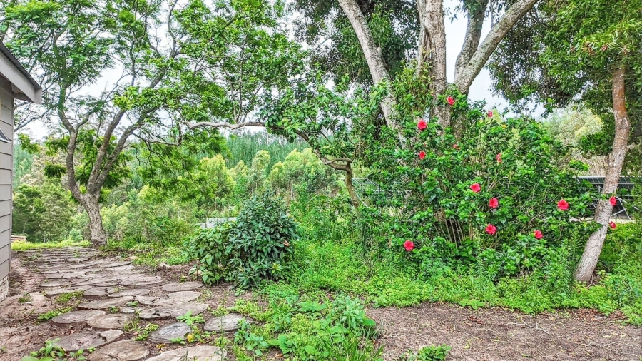 Commercial Property for Sale in Sedgefield Rural Western Cape